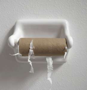 Toilet paper, empty roll